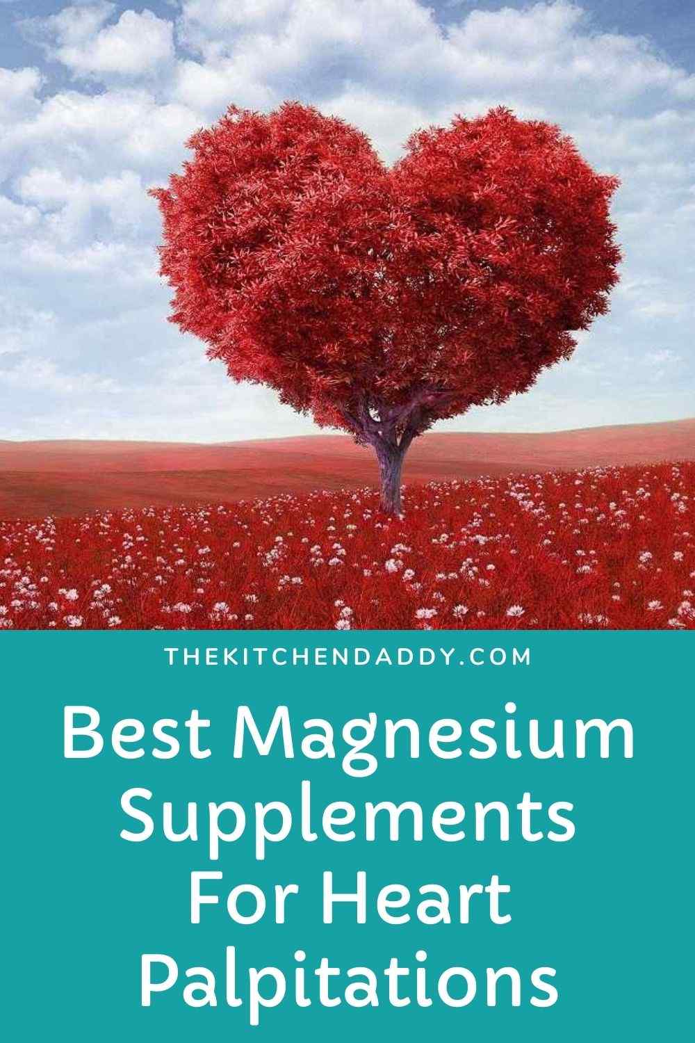 Best Magnesium Supplements For Heart Palpitations